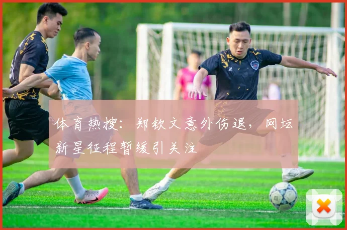 体育热搜：郑钦文意外伤退，网坛新星征程暂缓引关注