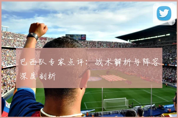 巴西队专家点评:战术解析与阵容深度剖析